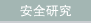 安全研究